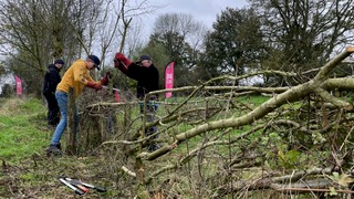 Ouder-kind workshop Maasheggenvlechten