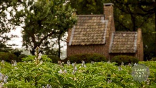 Foto: Roel Diepstraten