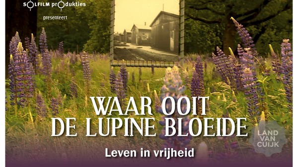Headerafbeelding