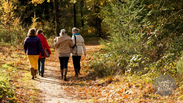 Herfstwandeling