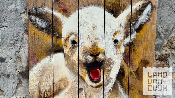 Workshop palletschilderen