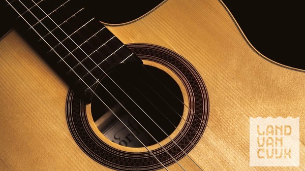 Kwint - Mandolineconcert