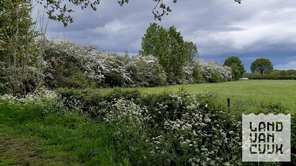 De Maasheggen na het NK