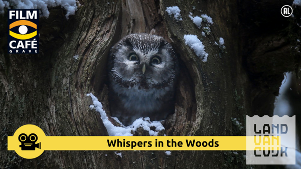 Whispers in the woods