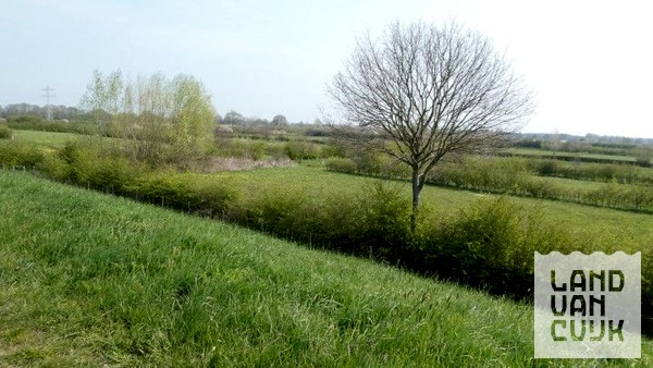 Beleef de lente in de Maasheggen