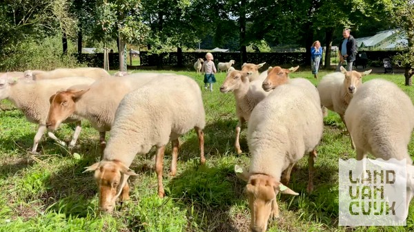 Beleef Landgoed Mookerheide