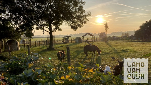 Dierenweide zon