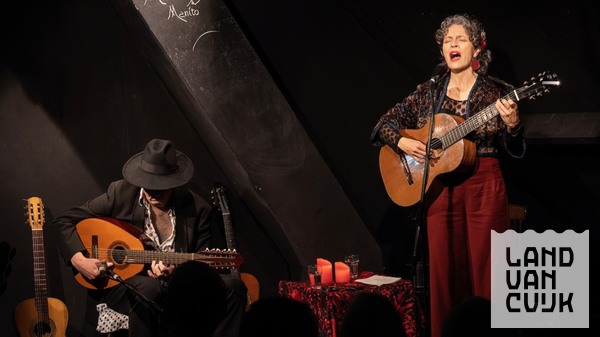 Flamenco bij volle maan