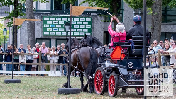 Dag van het paard