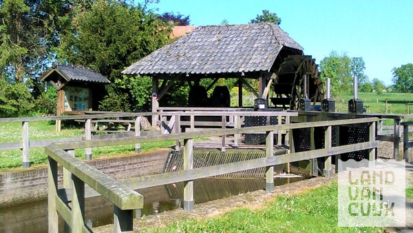 Midweekwandeling langs de Vierlingsbeekse Molenbeek