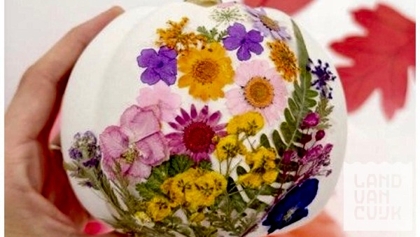 Kinderworkshop Droogbloemen-pompoen