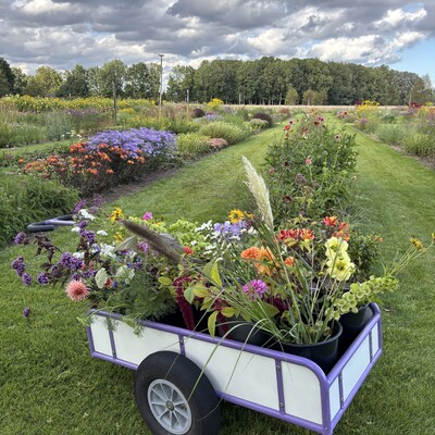 Timber Hoeve - Landwinkel & Pluktuin
