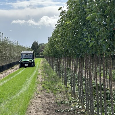 R&R van Rens Boomkwekerijen