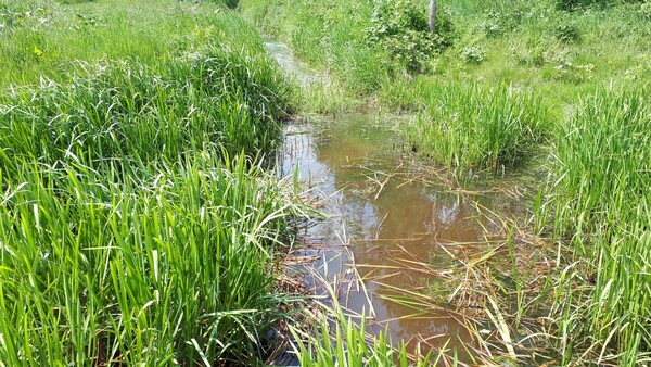 Agrarische Natuur Vereniging Sint Tunnis