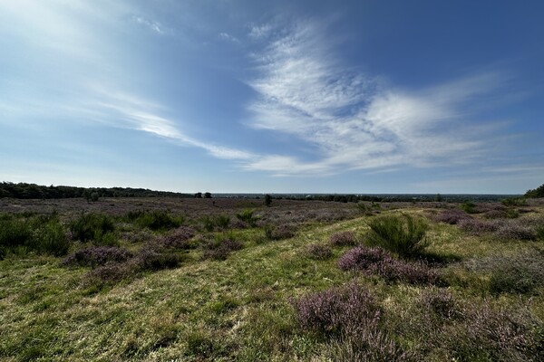Wandelroute: Mookerheide Klein Amerika