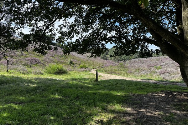 Wandelroute: Mookerheide Klein Amerika
