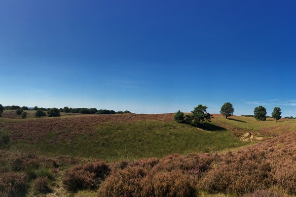 Wandelroute: Mookerheide Klein Amerika