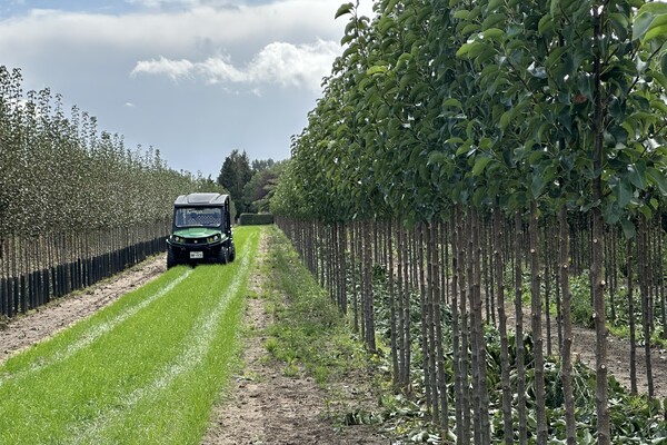 R&R van Rens Boomkwekerijen